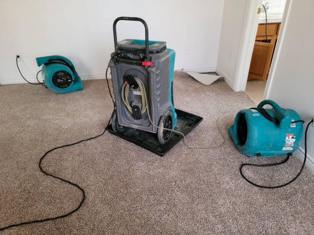 Best Water damage contractors near me  in Post, TX