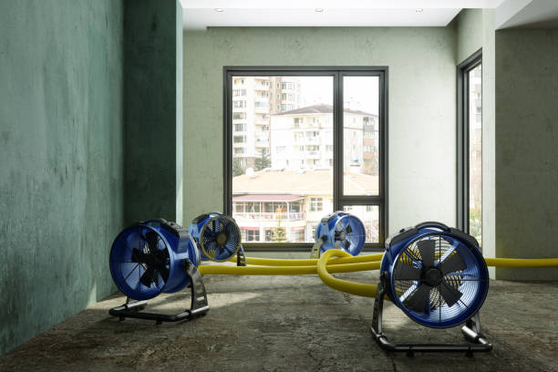 Best Water damage restoration near me  in Post, TX